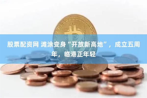 股票配资网 滩涂变身“开放新高地”，成立五周年，临港正年轻