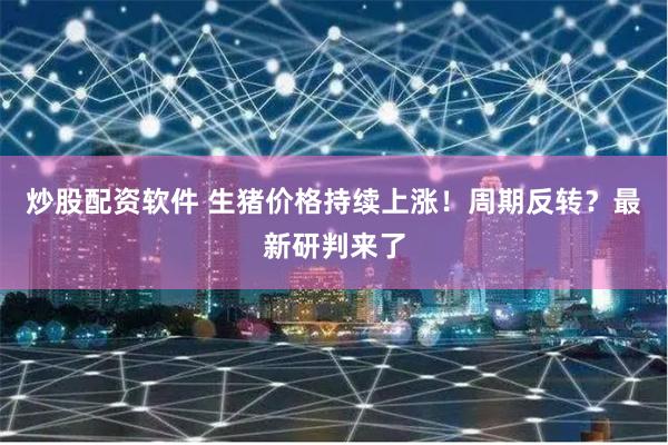 炒股配资软件 生猪价格持续上涨！周期反转？最新研判来了