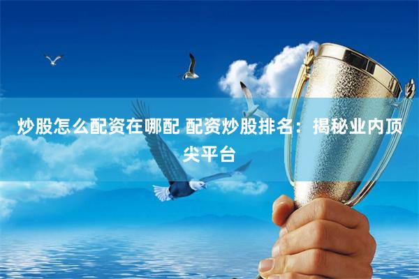 炒股怎么配资在哪配 配资炒股排名：揭秘业内顶尖平台